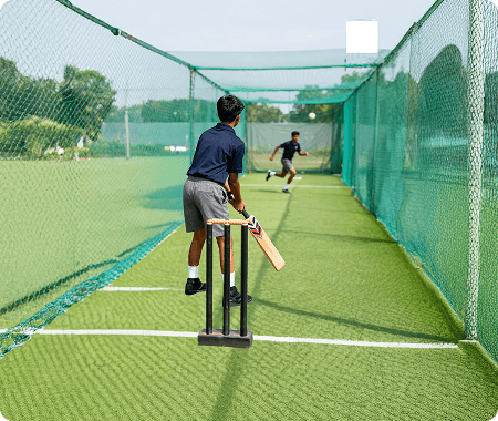 Cricket